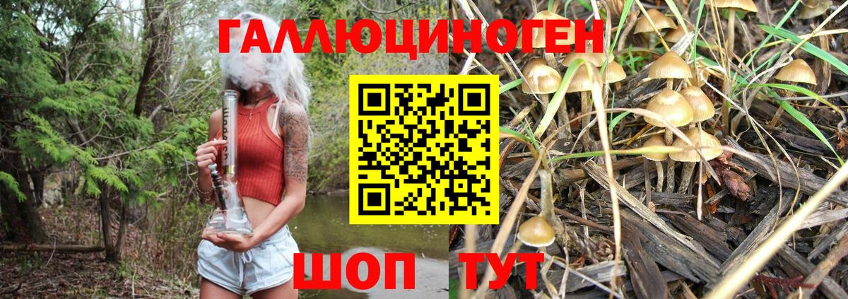 Ессентуки  Псилоцибиновые грибы GOLDEN TEACHER  Вход с VPN 