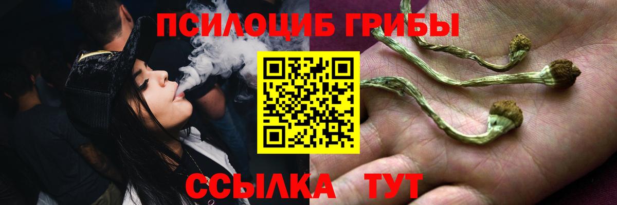 Галлюциногенные грибы ЛСД Ессентуки