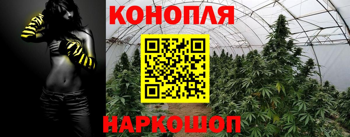 МЕФ Ессентуки